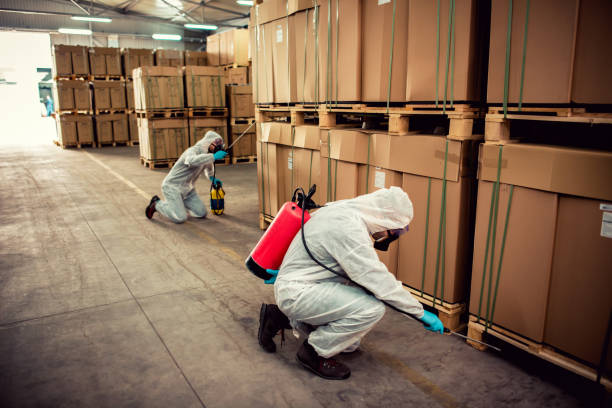 Best Insect Control  in Lauderhill, FL