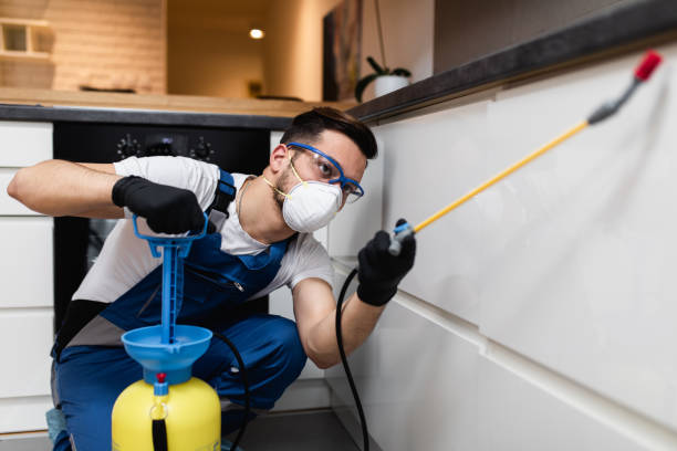 Best Pest Control for Restaurants  in Lauderhill, FL