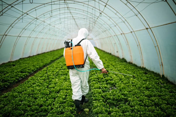 Best Mosquito Control Services  in Lauderhill, FL