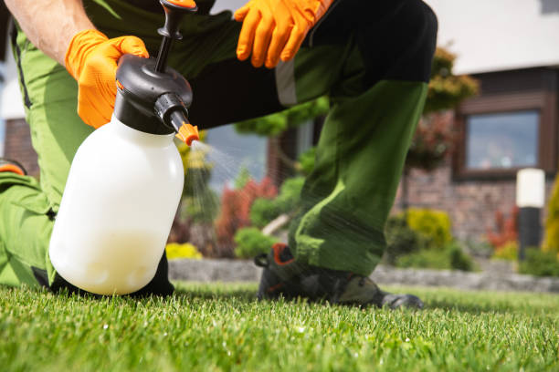 Best Residential Pest Control  in Lauderhill, FL