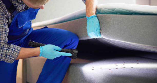 Best Exterminator Services  in Lauderhill, FL