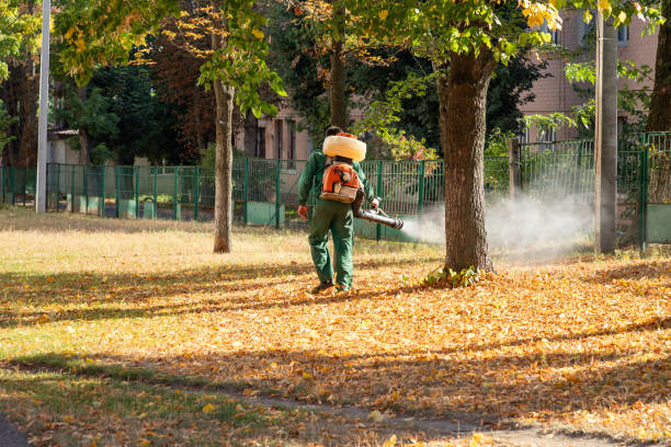 Best Best Pest Control Companies  in Lauderhill, FL