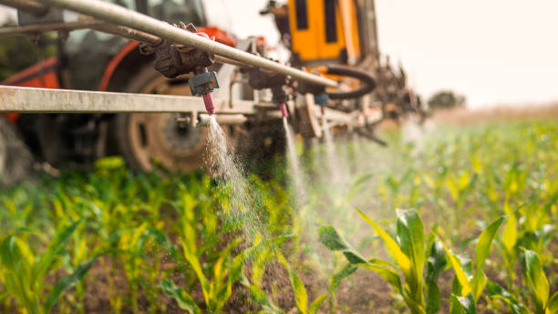 Best Commercial Pest Control Services  in Lauderhill, FL