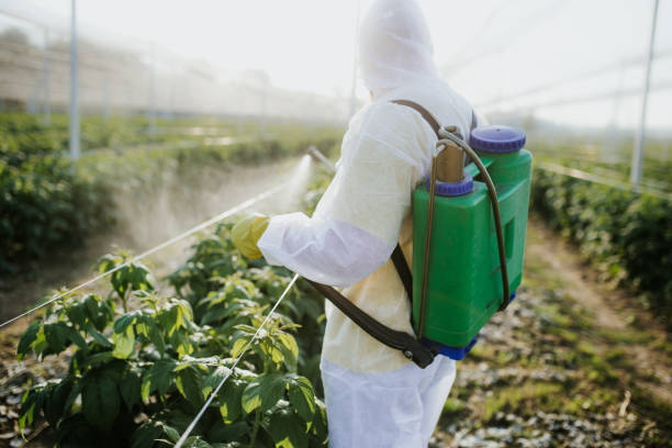 Best Emergency Pest Control  in Lauderhill, FL